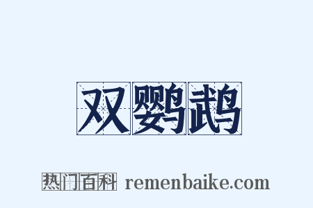 双鹦鹉是什么意思的图片